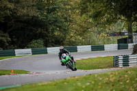 Middle  Group Green Bikes